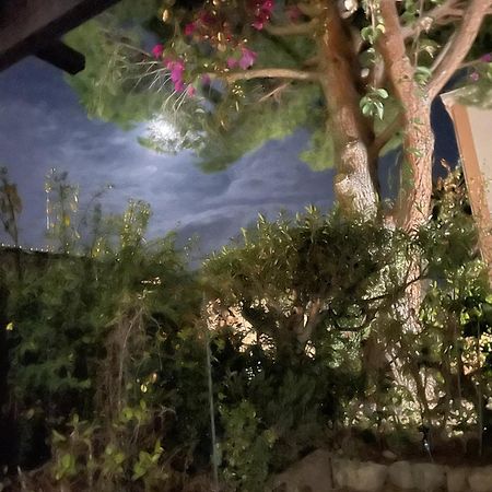 Studio Bandol Avec Jardin Dış mekan fotoğraf