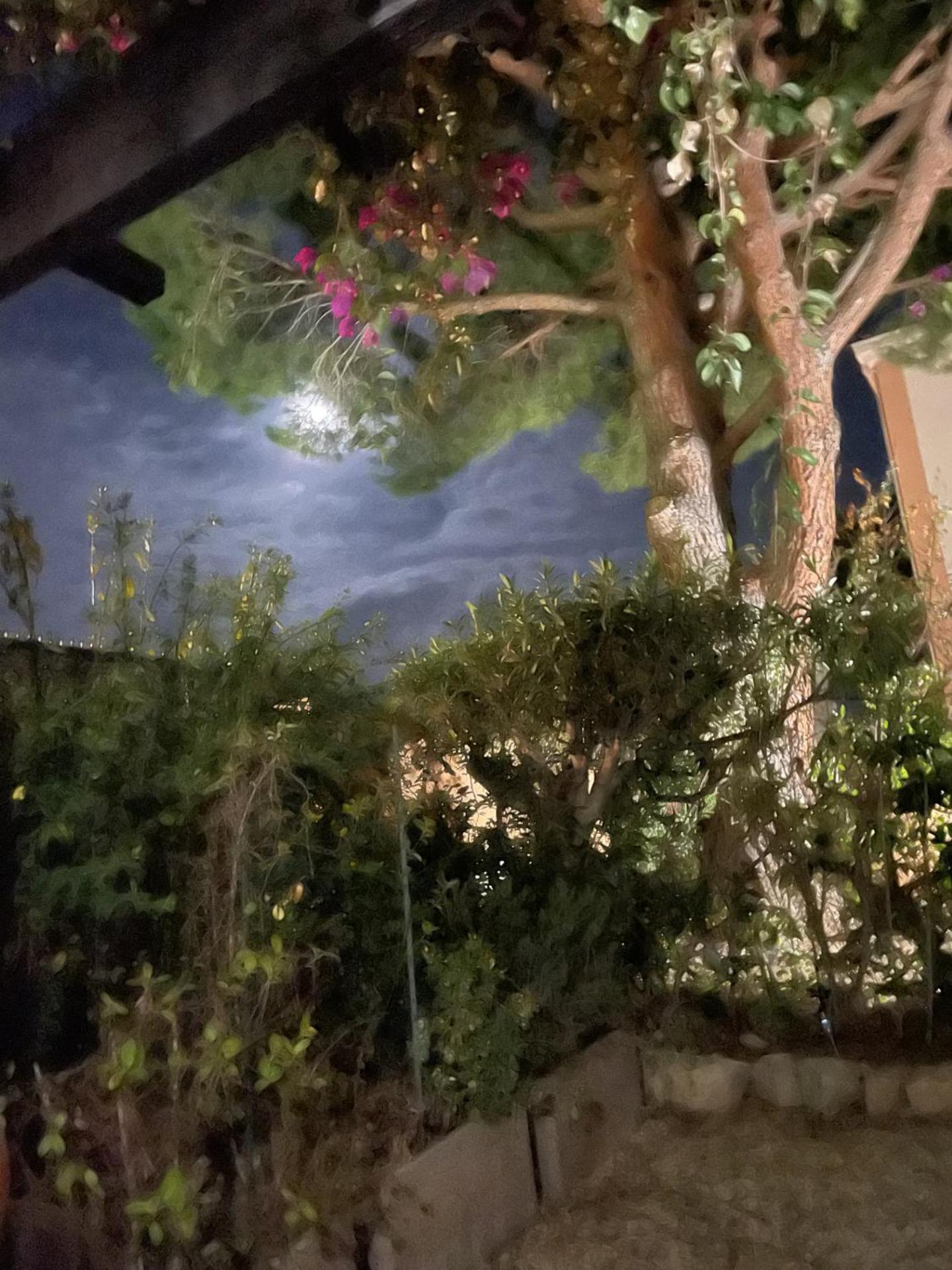 Studio Bandol Avec Jardin Dış mekan fotoğraf